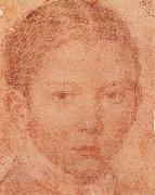 VELAZQUEZ, Diego Rodriguez de Silva y Head-Portrait of Young boy oil painting reproduction